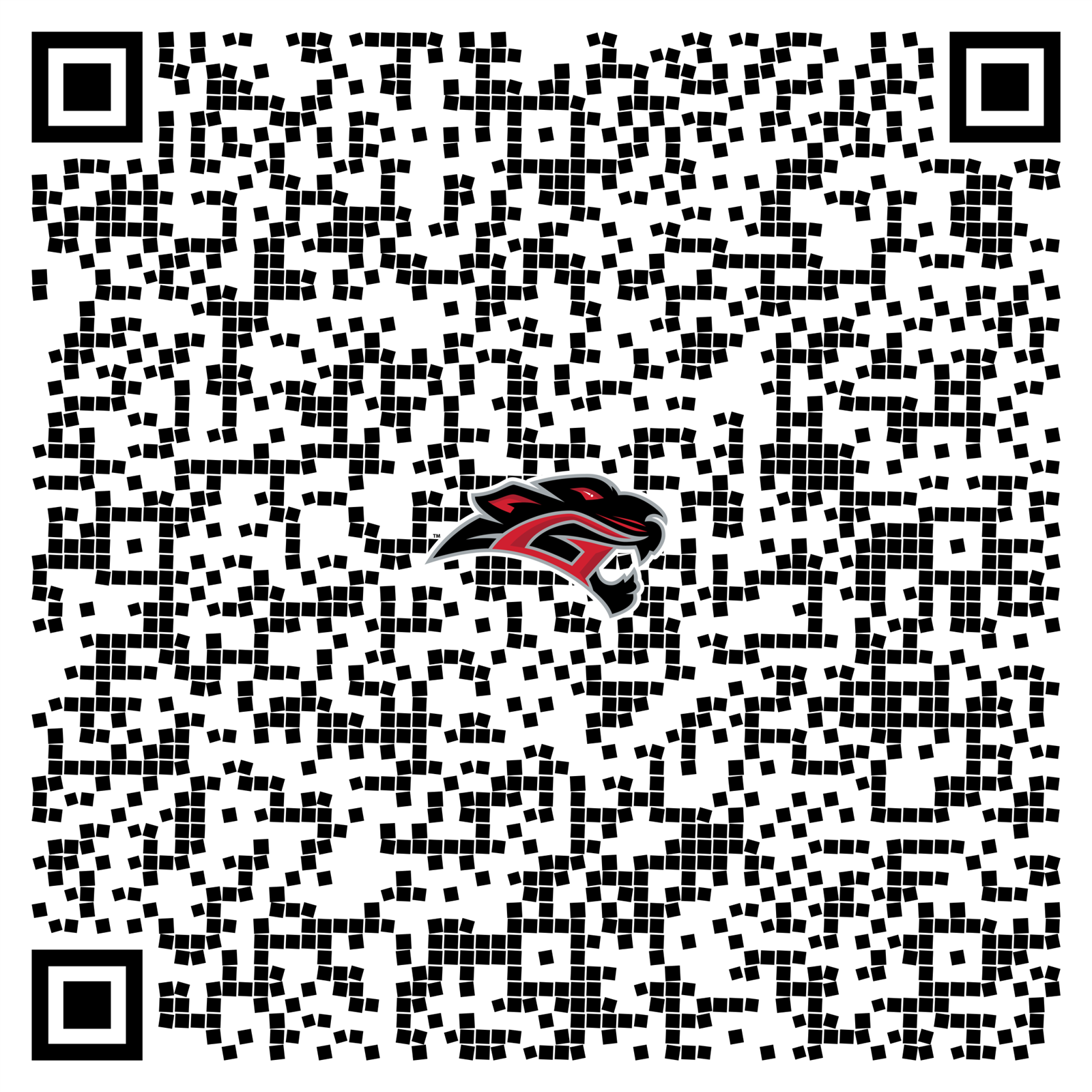 Lenovo Charger QR Code